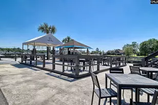 350 Chapin Pl Wy, Chapin, SC 29036 - Photo 29