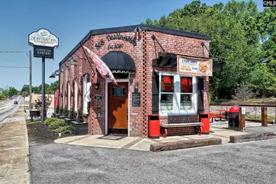 350 Chapin Place Way, Chapin, SC 29036 - Photo 27