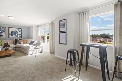 350 Chapin Place Way, Chapin, SC 29036 - Photo 17