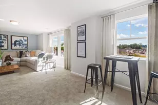 350 Chapin Pl Wy, Chapin, SC 29036 - Photo 17