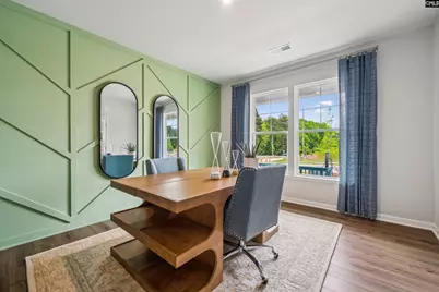 350 Chapin Place Way, Chapin, SC 29036 - Photo 9