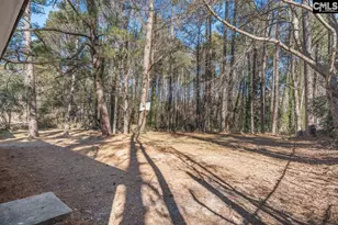 413 Beaverbrook Dr, Columbia, SC 29203 - Photo 31