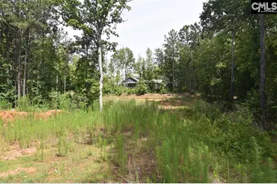 0 Longview Drive #90, Leesville, SC 29070 - Photo 5
