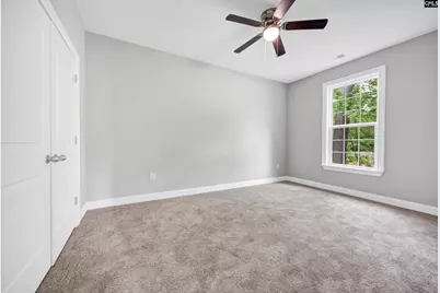 193 Peppermint Lane, Blythewood, SC 29016 - Photo 43