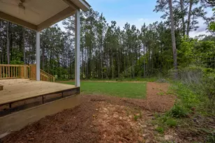 193 Peppermint Ln, Blythewood, SC 29016 - Photo 11