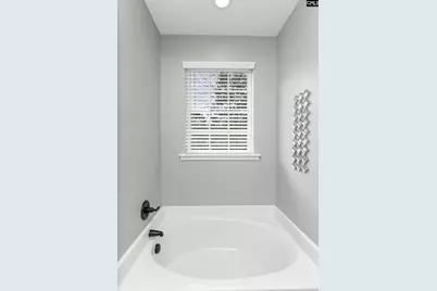 230 Crassula Drive, Lexington, SC 29073 - Photo 21