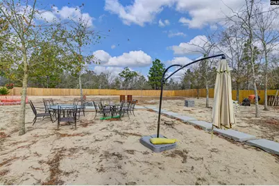230 Crassula Drive, Lexington, SC 29073 - Photo 35