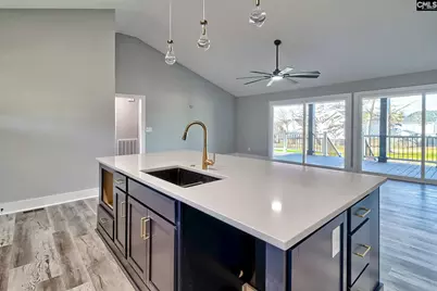 3048 Wessinger Road, Chapin, SC 29036 - Photo 9