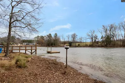 269 Mary Drive, Chapin, SC 29036 - Photo 19