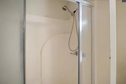 269 Mary Drive, Chapin, SC 29036 - Photo 23