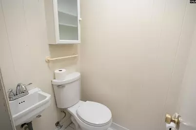 269 Mary Drive, Chapin, SC 29036 - Photo 27