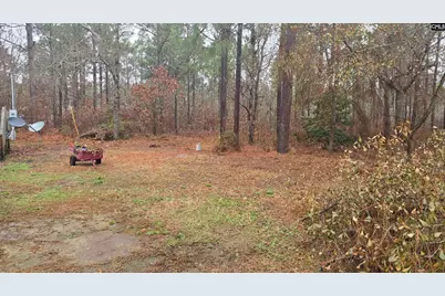 165 Landfill Lane, Lexington, SC 29073 - Photo 9