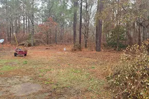 165 Landfill Ln, Lexington, SC 29073 - Photo 9