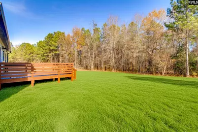 50 Rambling Drive, Elgin, SC 29045 - Photo 27