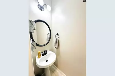 208 Saints Creek Lane, Irmo, SC 29063 - Photo 9