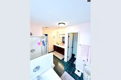 208 Saints Creek Lane, Irmo, SC 29063 - Photo 21