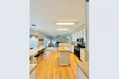 208 Saints Creek Lane, Irmo, SC 29063 - Photo 3