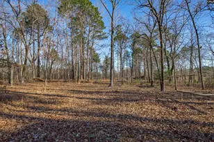 532 Burns Dr, Swansea, SC 29160 - Photo 45