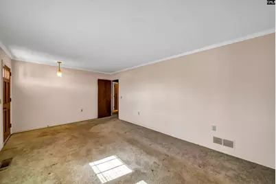 224 Walnut Street, North, SC 29112 - Photo 33