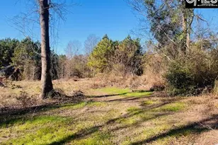 0 J Farm Trail, Leesville, SC 29070 - Photo 1