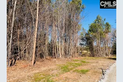 0 J Farm Trail #3, Leesville, SC 29070 - Photo 5