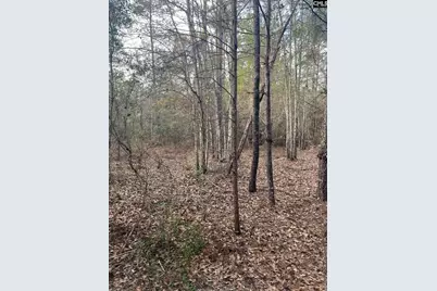 Goo 10 A Wendell Lane Goo 10 A, Wagener, SC 29164 - Photo 7