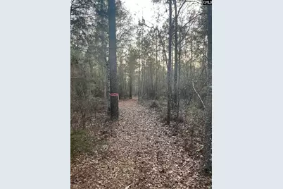 Goo 10 A Wendell Lane Goo 10 A, Wagener, SC 29164 - Photo 9