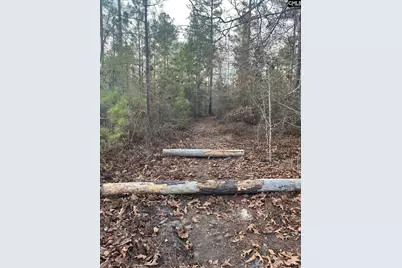 Goo 10 A Wendell Lane Goo 10 A, Wagener, SC 29164 - Photo 5