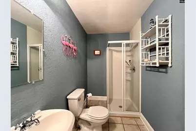 105 Rolling Creek Circle, Irmo, SC 29063 - Photo 55