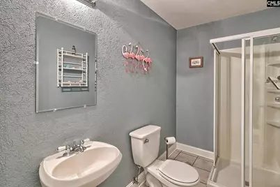 105 Rolling Creek Circle, Irmo, SC 29063 - Photo 57