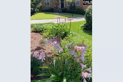 2008 Rolling Pines Drive, Columbia, SC 29206 - Photo 45