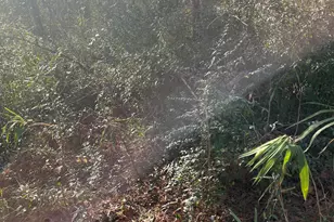 15 Derby Ln, Lugoff, SC 29078 - Photo 19