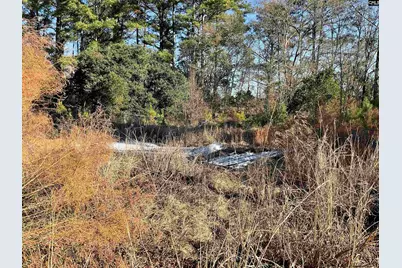 14763 Carolina Highway, Olar, SC 29843 - Photo 9