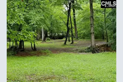 248 Wessinger Farms Road, Chapin, SC 29036 - Photo 43