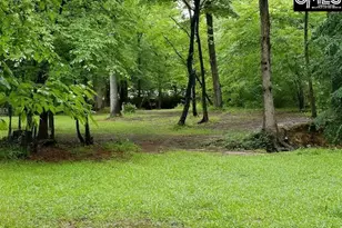 248 Wessinger Farms Rd, Chapin, SC 29036 - Photo 43