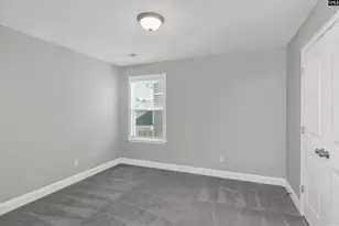 248 Wessinger Farms Rd, Chapin, SC 29036 - Photo 21