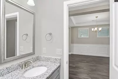 248 Wessinger Farms Road, Chapin, SC 29036 - Photo 25