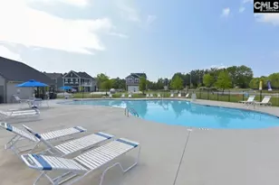 248 Wessinger Farms Rd, Chapin, SC 29036 - Photo 47