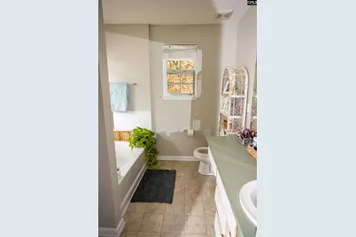 116 Owl Trace Lane, Chapin, SC 29036 - Photo 11