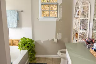 116 Owl Trace Ln, Chapin, SC 29036 - Photo 11