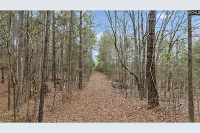 6330 Richburg Road, Great Falls, SC 29055 - Photo 19