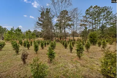 6330 Richburg Road, Great Falls, SC 29055 - Photo 25