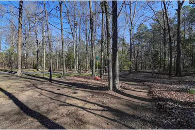 2037 Little Country Road, Batesburg, SC 29006 - Photo 3