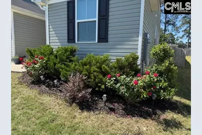 1051 Joshua Tree Way, Lexington, SC 29073 - Photo 5