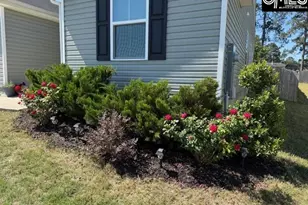 1051 Joshua Tree Wy, Lexington, SC 29073 - Photo 5