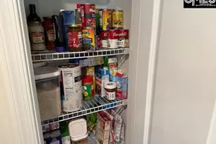 1051 Joshua Tree Wy, Lexington, SC 29073 - Photo 21