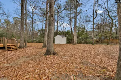 325 Parlock Road, Irmo, SC 29063 - Photo 33