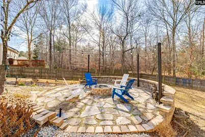 202 Saints Creek Lane, Irmo, SC 29063 - Photo 47