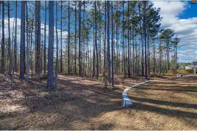 820 Tradesman Avenue, Lexington, SC 29072 - Photo 51