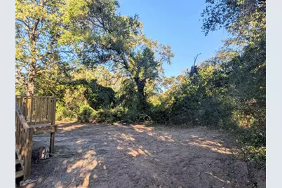 415 Black Avenue, Lexington, SC 29072 - Photo 3